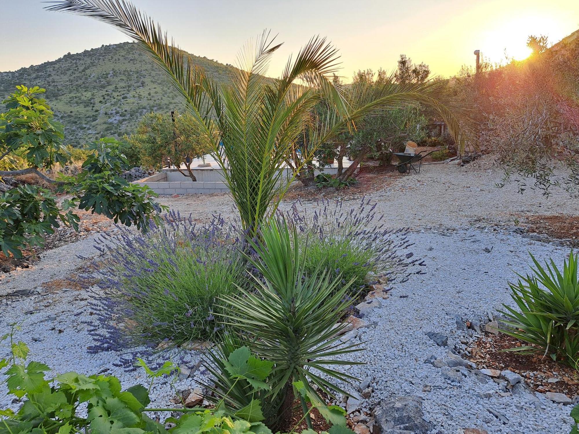 Villa Casa Mia Gornji Seget Buitenkant foto